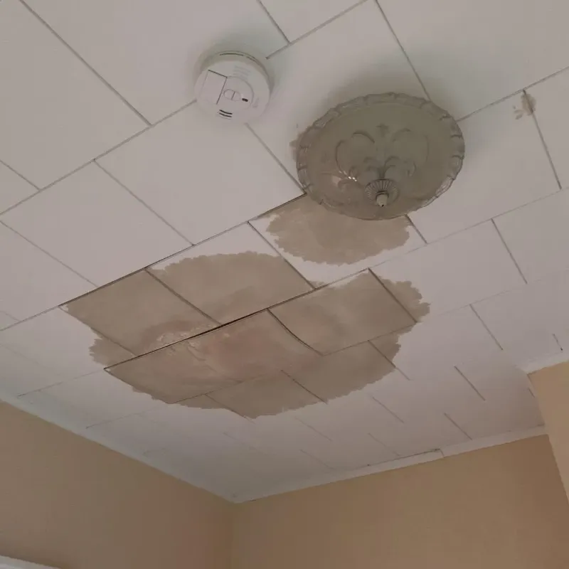 Ceiling Water Damage Repair in New Richland, MN