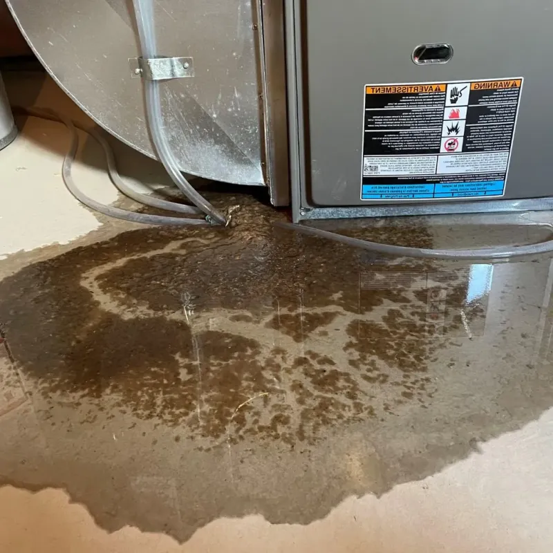 Pipe Burst and Leak Restoration in New Richland, MN